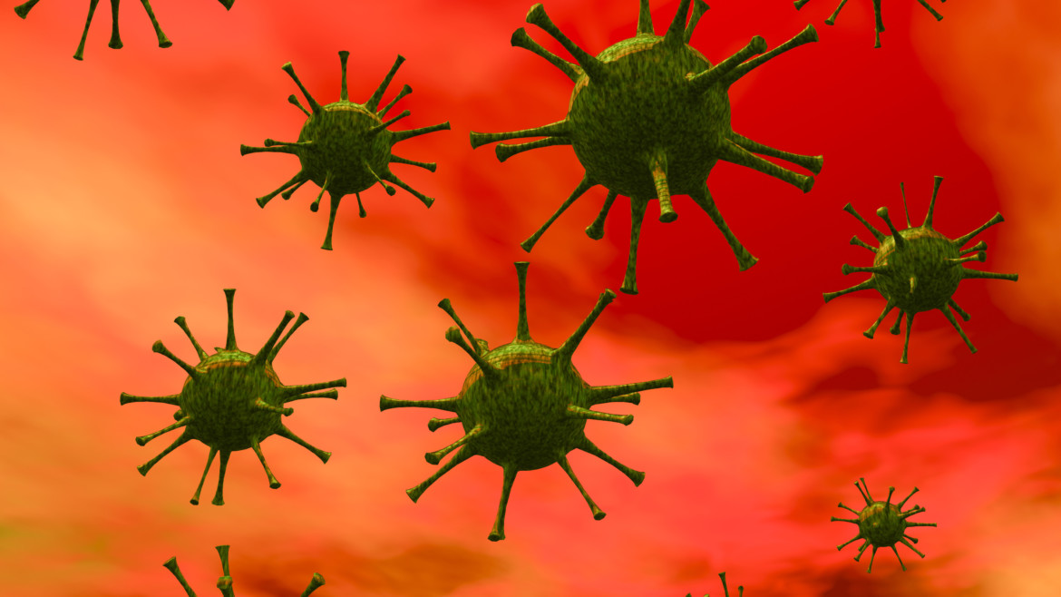 Nipah Virus – The Unfolding Story